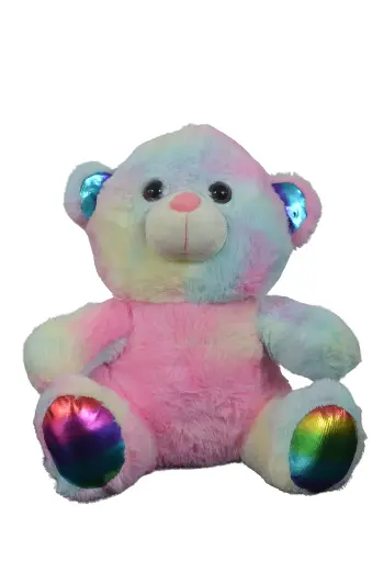 [010] Oso de peluche arcoíris 